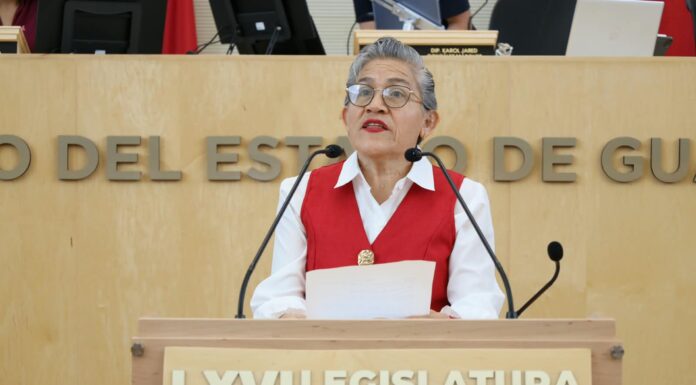 PT pide exhortar a Secretaría de Salud diagnosticar el acceso a la salud mental