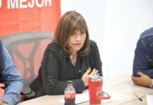 Define PRI estrategia de alianzas para Guanajuato
