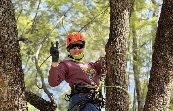 Mujeres arboristas de México se reúnen en el Parque Metropolitano de León