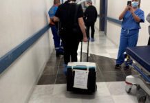 El último regalo de Crucito: cuando el dolor de Romita se convirtió en vida para México