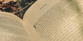 La resistencia de la tinta: el auge del libro impreso entre las nuevas generaciones
