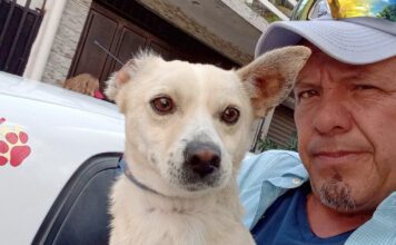 Sentencian a rescatista independiente por salvar la vida de un lomito dentro de vivienda