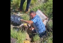 Marcos Aguilera lo vuelve a hacer: Rescata a lomito que vivió medio año dentro de drenaje