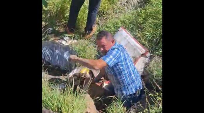 Marcos Aguilera lo vuelve a hacer: Rescata a lomito que vivió medio año dentro de drenaje