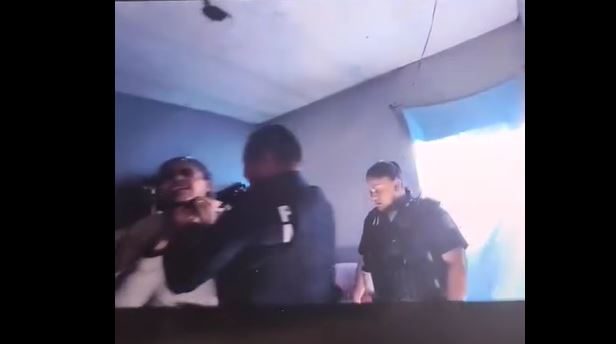 polileon