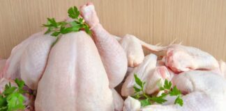 Autoridades garantizan abasto en carne de pollo para México