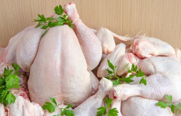 Autoridades garantizan abasto en carne de pollo para México