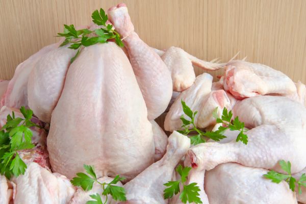 pollo