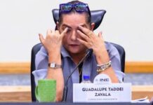 Ante escándalos publicados, Guadalupe Taddei dice “no ve voy” del INE