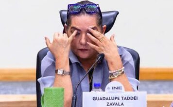 Ante escándalos publicados, Guadalupe Taddei dice “no ve voy” del INE